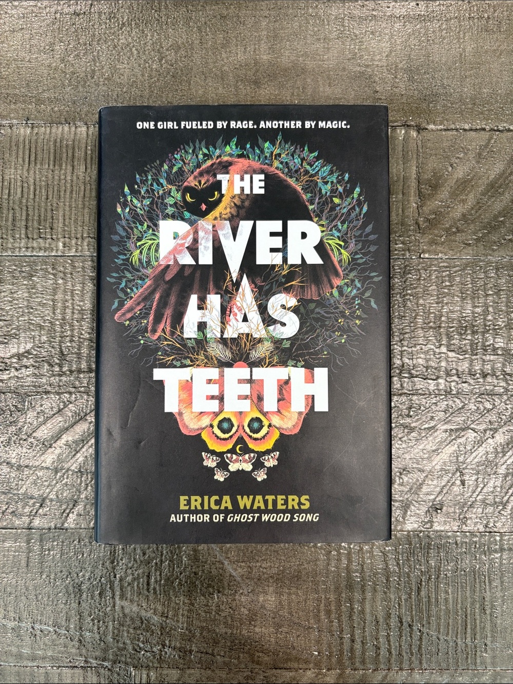 The River Has Teeth by Erica Waters Hardcover Book